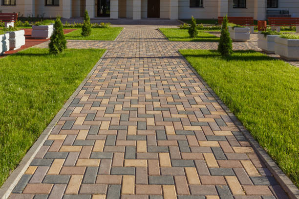 Reasons to Select Us for Your Driveway Paving Requirements in Orchard City, CO